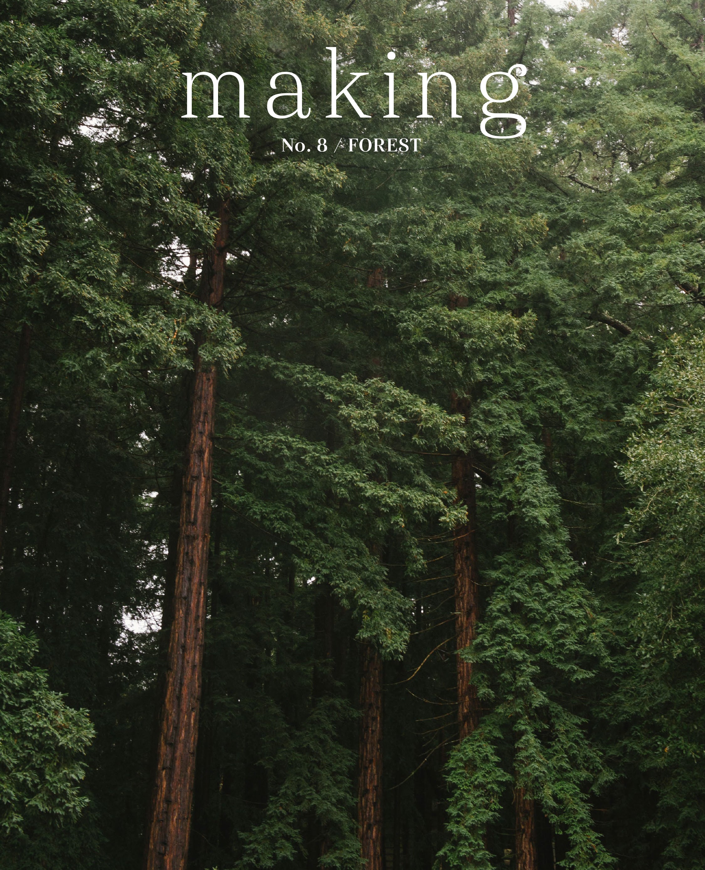 Making No. 8 /Forest